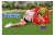 Pileta Bebe Inflable Con Techo Frutilla