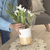 FLORERO KYRA - ARENA - CAJÚ Home & Deco