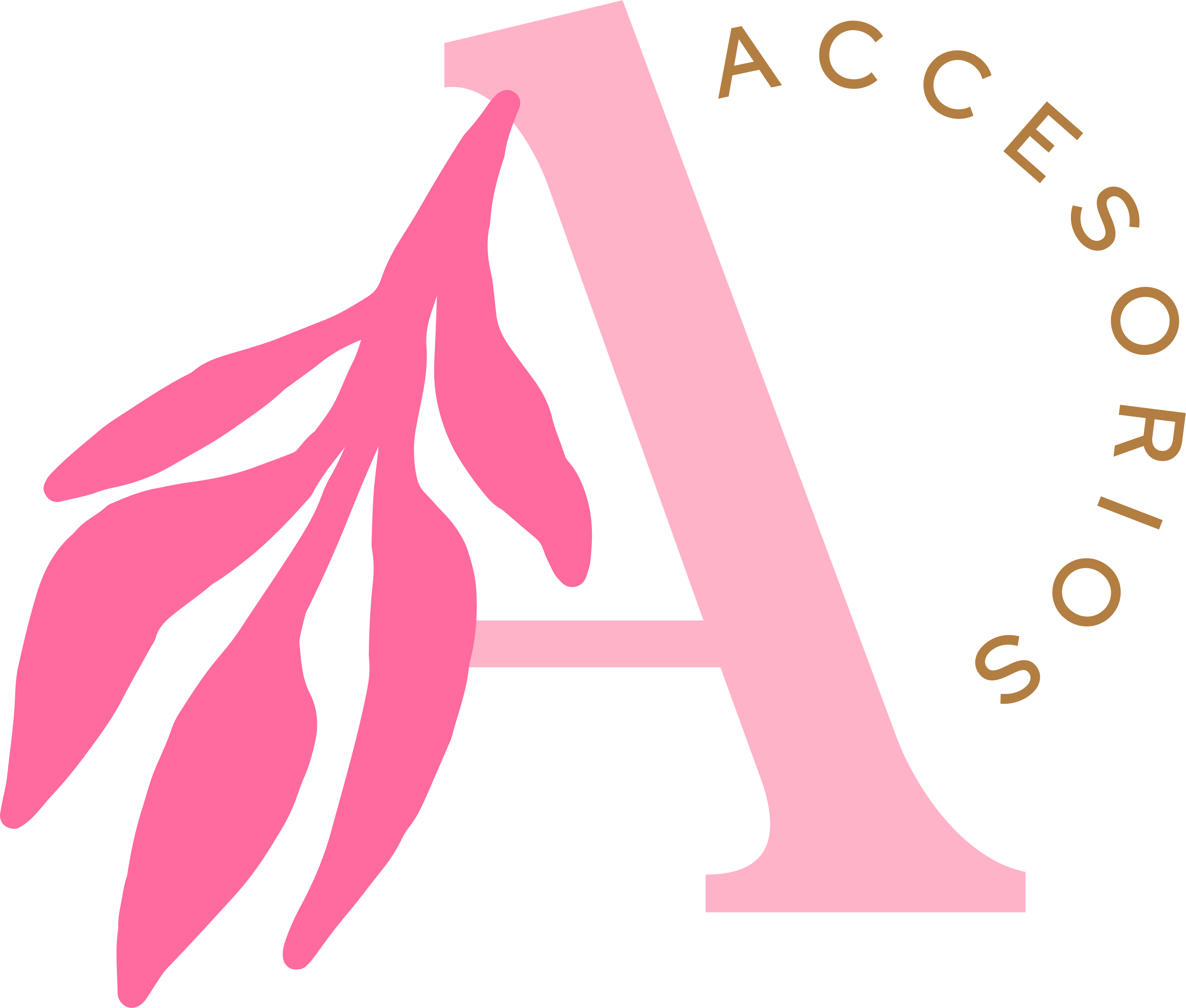 Amies Accesorios
