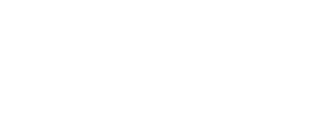 AVIN ICE