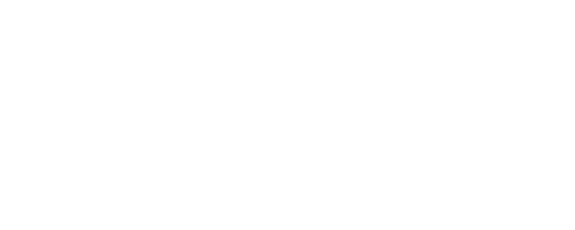 AVIN ICE