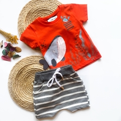 Conjunto Baleia