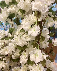 Guia de flores