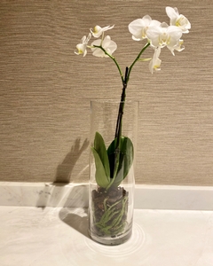 Florero de 35cm - comprar online