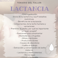 TALLER LACTANCIA MATERNA - comprar online