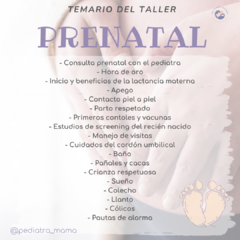 TALLER PRENATAL - comprar online