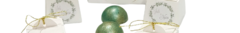 Banner de la categoría Pétale