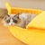 Imagem do Caminha Banana Cat