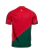 0Camisa-titular-de-Portugal-vermelha-com-faixa-verde-22/23-Nike-Torcedor-Masculina-Usada-na-copa-do-Mundo