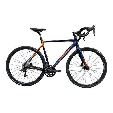 BICICLETA R28 ZION PEGASO (LTWOO 2X9 VEL)