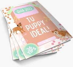 Ebook: Un puppy ideal!