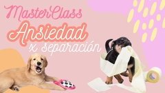 MasterClass:Ansiedad x separación.