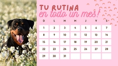 Planner de Rutina