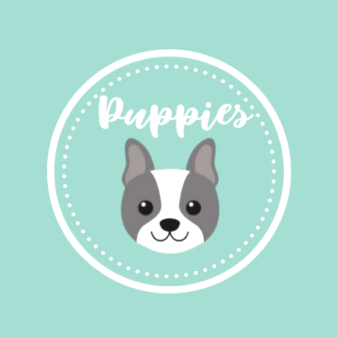PuppiesConducta