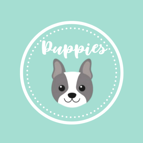 PuppiesConducta