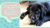 Carrusel PuppiesConducta