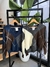 SWEATER ALASKA gris - comprar online