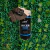 Tinta Fosca Amy - comprar online