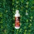 Brilho Instantâneo Novax 80ml