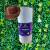 Novax Antimofo 900ml - loja online