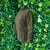 Blusa Soft Emporio Horse Masculino UV - Schimandeiro - Country & Gaúcho