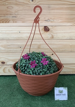 Kit com 3 unidades Cuia 31 cm x 16,5 cm Goyama