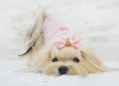 B120 - Camiseta Patinha Strass - Only Pet
