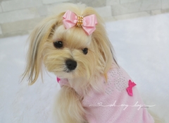 Imagem do B120 - Camiseta Patinha Strass