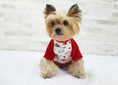 B119 - Camiseta Cat Love - Only Pet