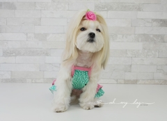 A126 - Vestido Corações Yumi - Only Pet