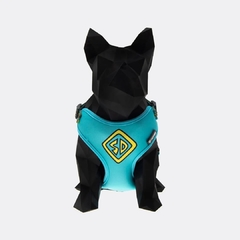 Guia + Coleira + Peitoral Air Scooby-doo Azul Turquesa - Free faro - comprar online