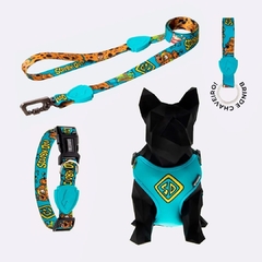 Guia + Coleira + Peitoral Air Scooby-doo Azul Turquesa - Free faro