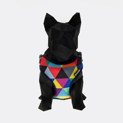 Kit - Guia + Coleira + Peitoral Air Colors - comprar online