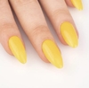 Honey Mustard / 212