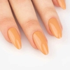 Almond / 215