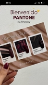 kit x 3 terracota / Carmenere / Drk C - comprar online