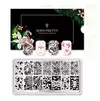 Placa BP A02 Born Pretty