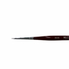 R-DS1-00,5RN PINCEL FINO N° 00