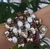Mix de Pulseiras