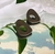 Brincos Living - loja online