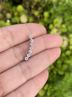 BRINCO RÓDIO EARCUFF ROSANA - VB STORE