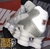 Nike Shox TL (Unissex) - True Store Imports