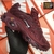 Nike Air Max Tn (Masculino )