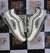 Imagem do Nike Air Max 97 (Masculino)