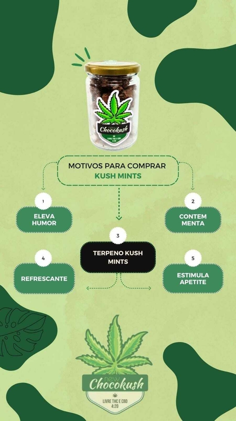 Chocokush Chocolate Terpenado Pote 100g