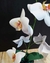 Orquídea en maceta en internet