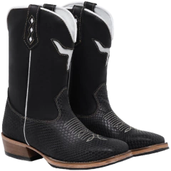 Bota Texana Masculina Bordado Carrapeta na internet