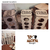 Cajas de té y café 014