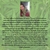 EBOOK - Guía Medicinal Cannábica- - comprar online