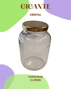 Frasco Gigante 3000ml - comprar online